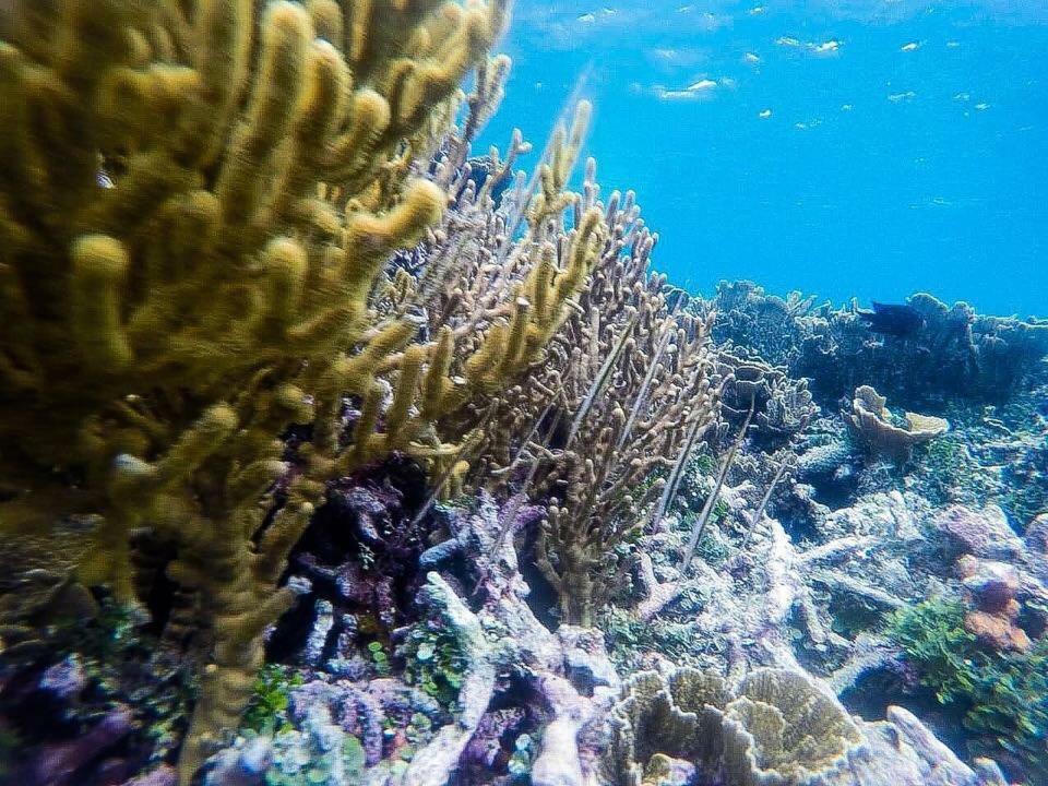 Deepsky Villa Ilhas Karimunjava Exterior foto